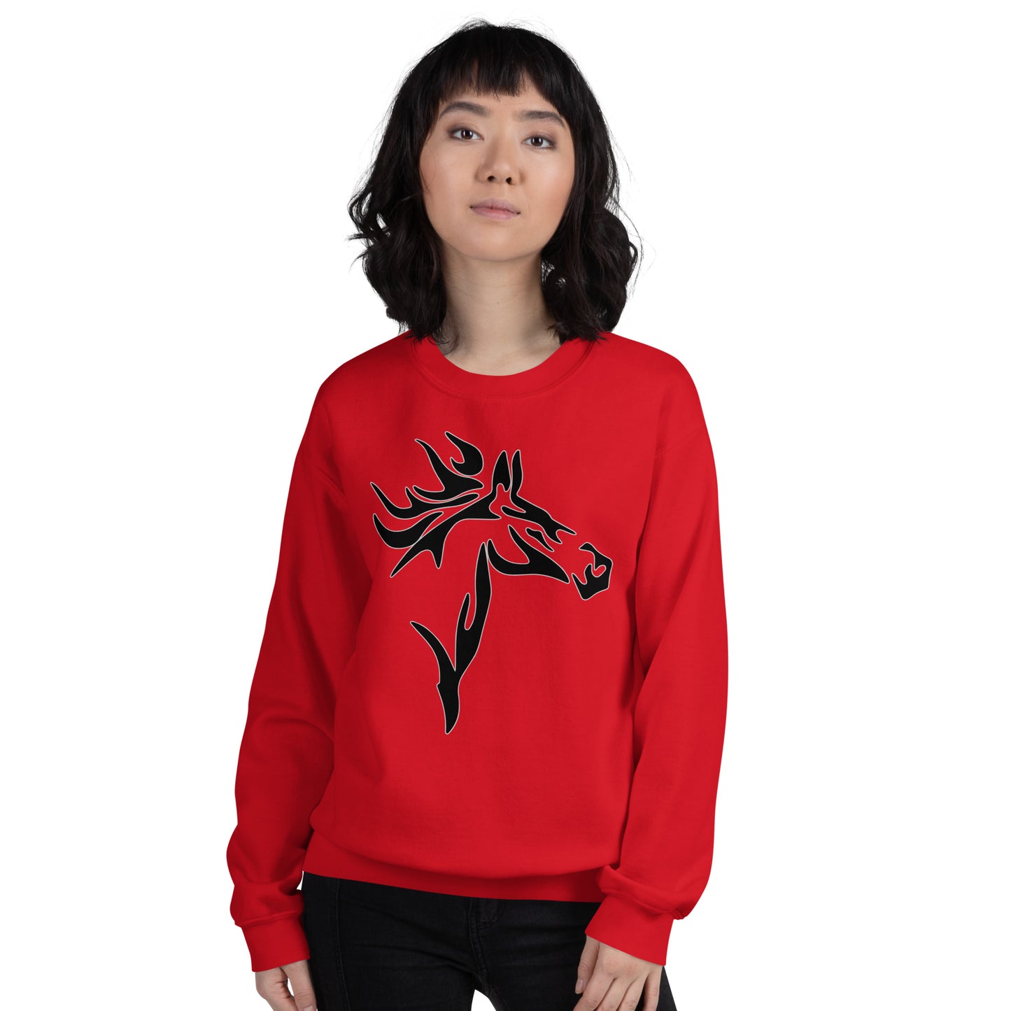 Horse with the Flaming Mane Unisex Sweatshirt