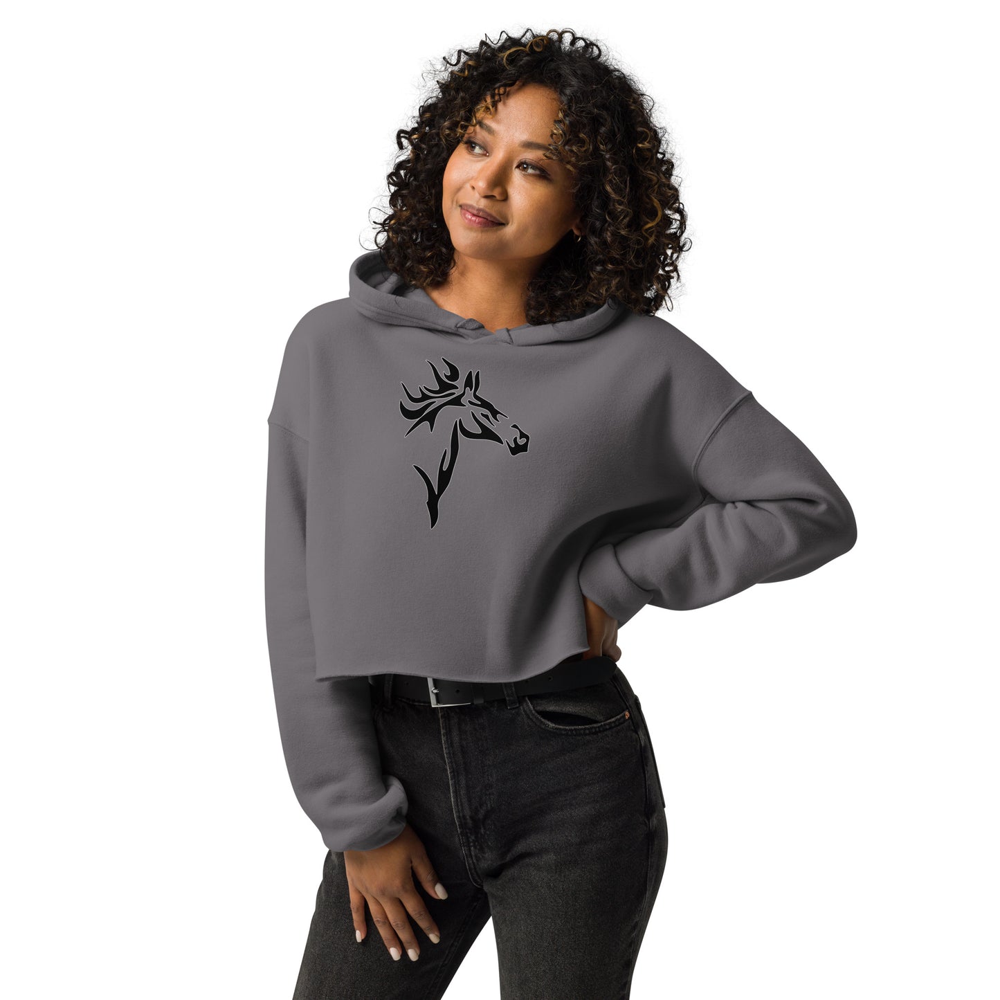 Horse with the Flaming Mane Women's Crop Hoodie